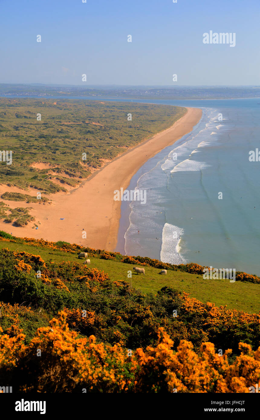 Saunton Sands North Devon Küste in der Nähe von Croyde England UK im Sommer Stockfoto