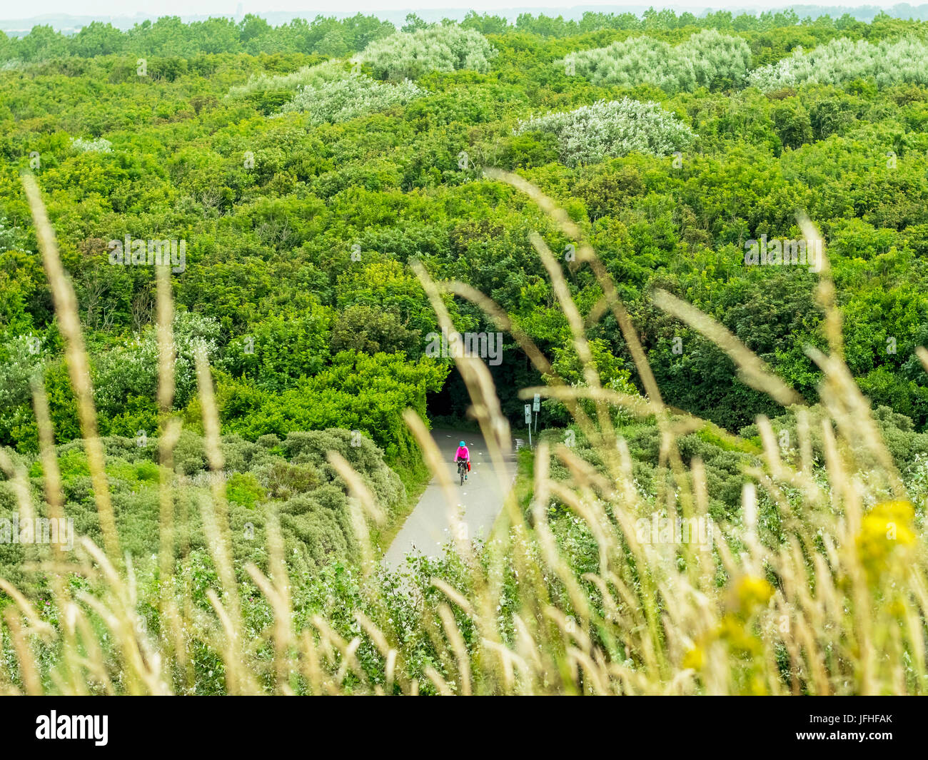 Frau Reiten Fahrrad durch Wald Stockfoto