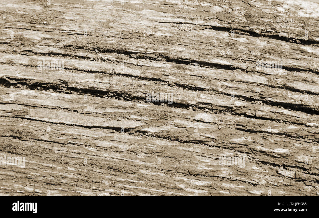 Horizontale Linien von Holz, Textur, neutralen Farben Stockfoto