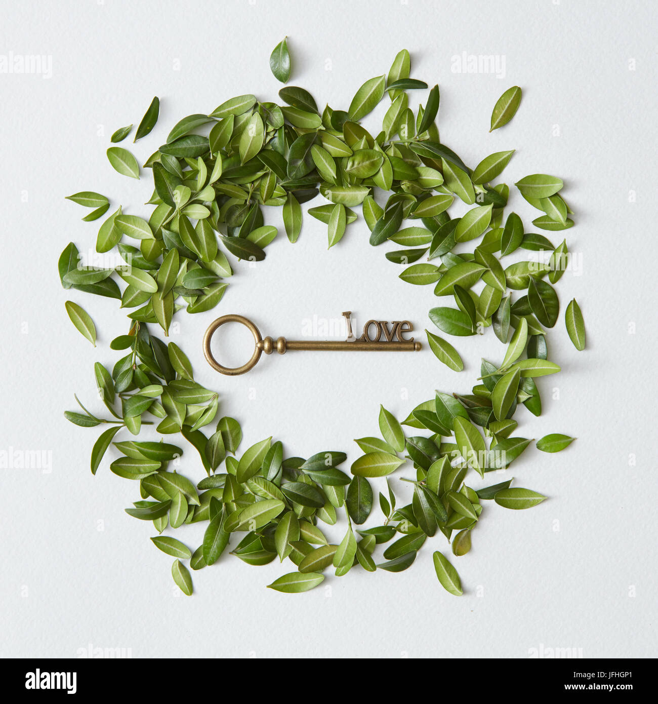 Grüner Kreis mit goldener Schlüssel Stockfoto