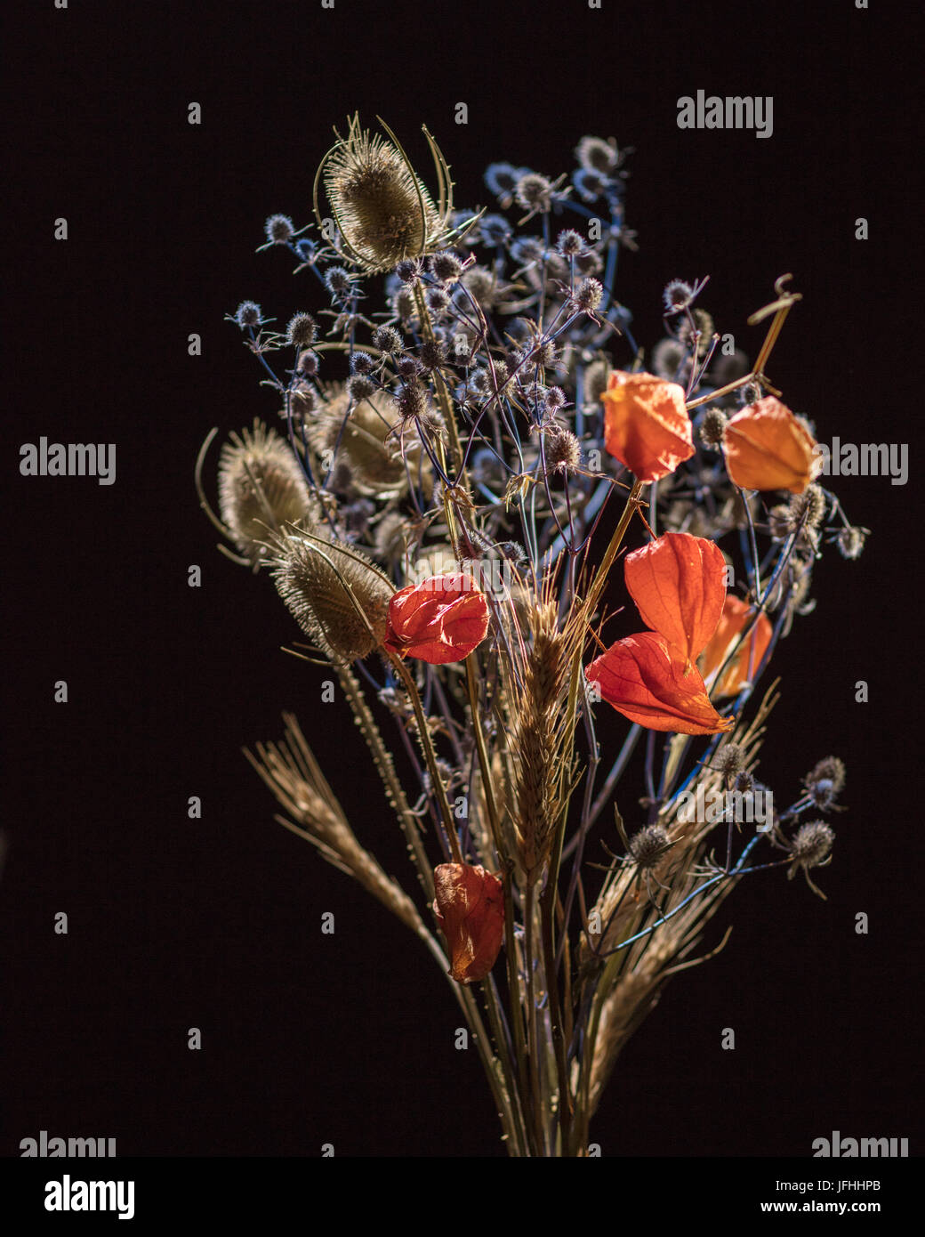 Trockene Blumen auf schwarz Stockfoto