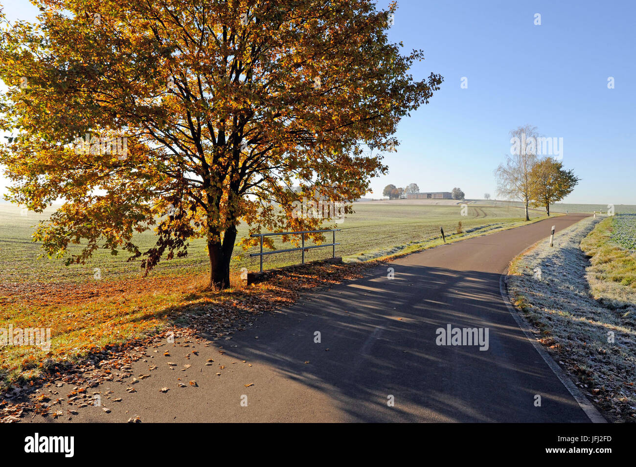 Landstraße im Herbst Stockfoto