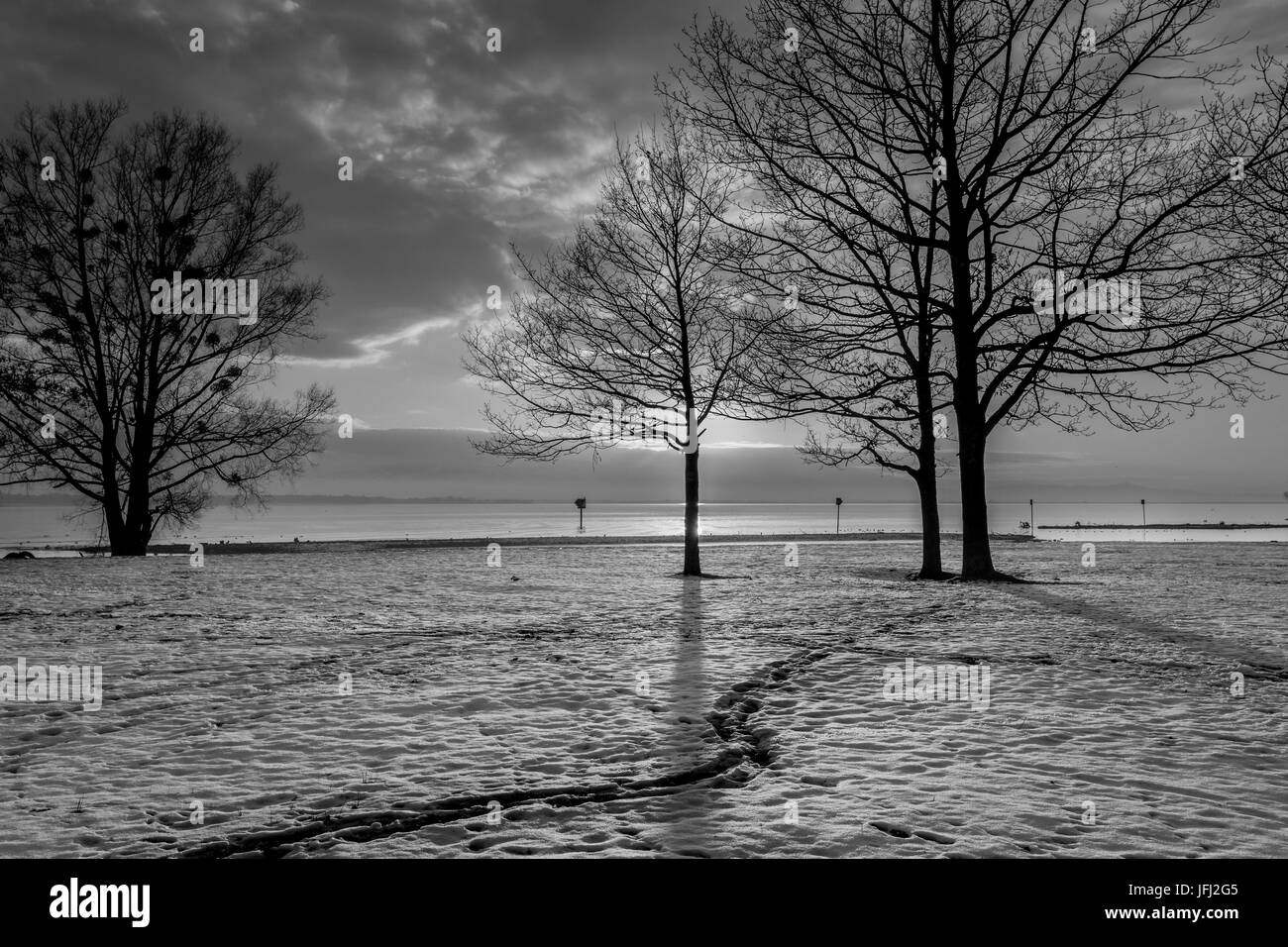 Spuren im Schnee, Himmel, Bäume, Ufer, Bodensee Stockfoto