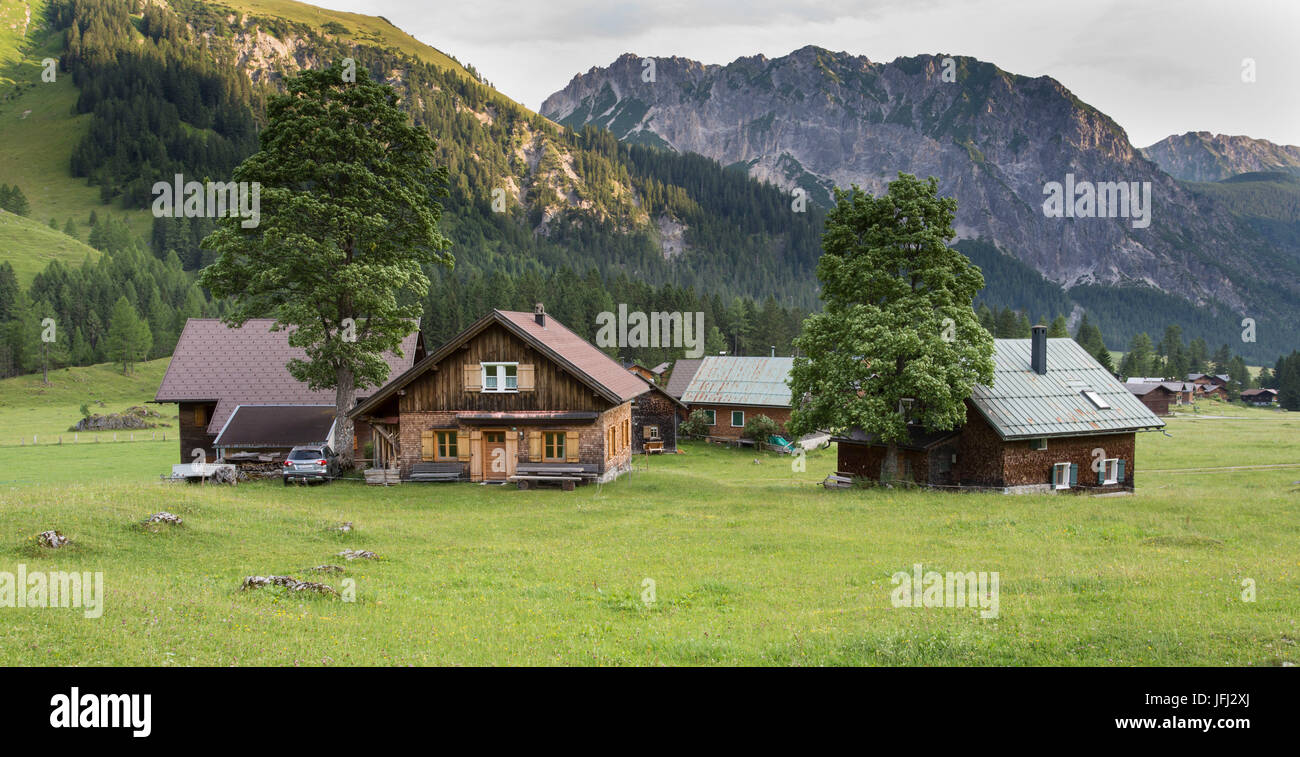 Haus gruppieren, Alp, Bäume, Wiese, Berge, Gipfel Stockfoto