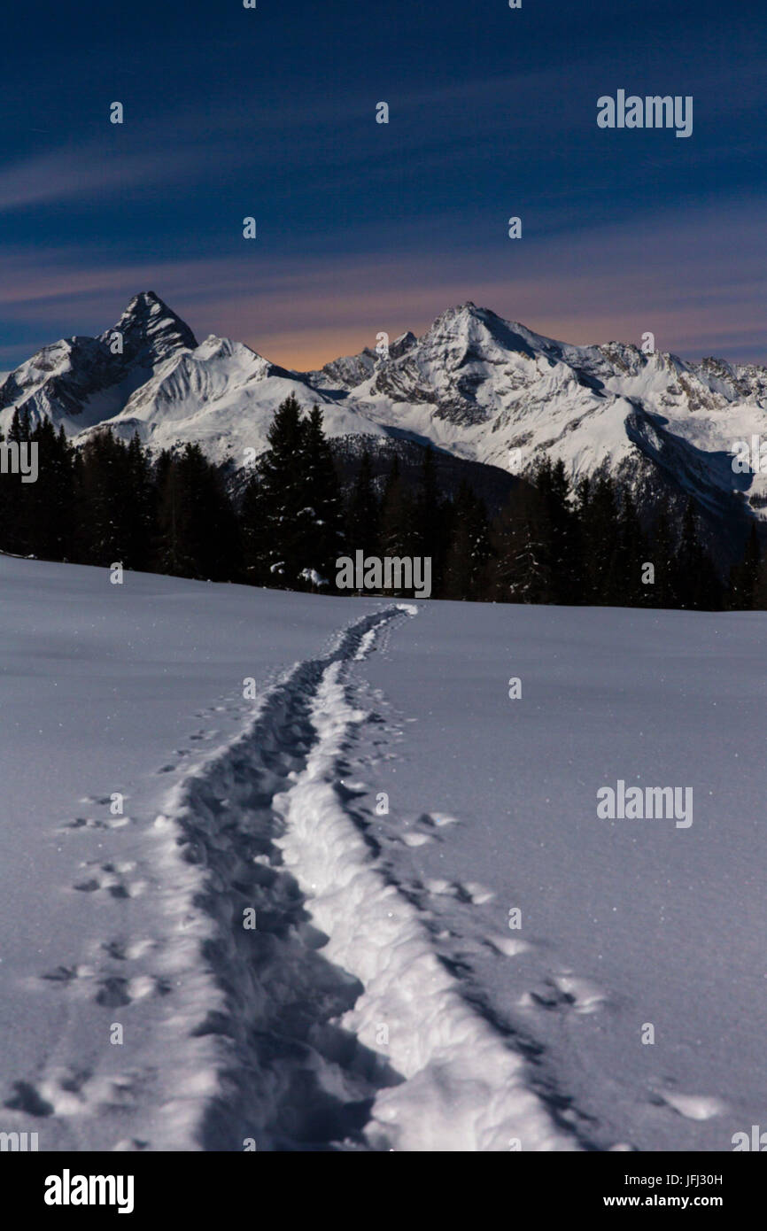 Mondhelle Nacht im Parc Ela, ein Naturschutzgebiet im Kanton Graubünden Stockfoto