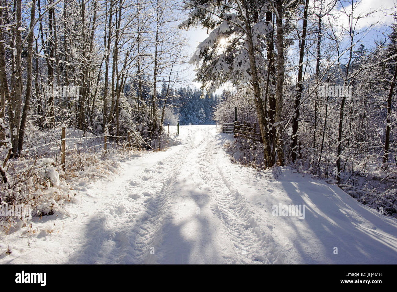 Winterlandschaft mit Weg und die Sonne im Gegenlicht Stockfoto