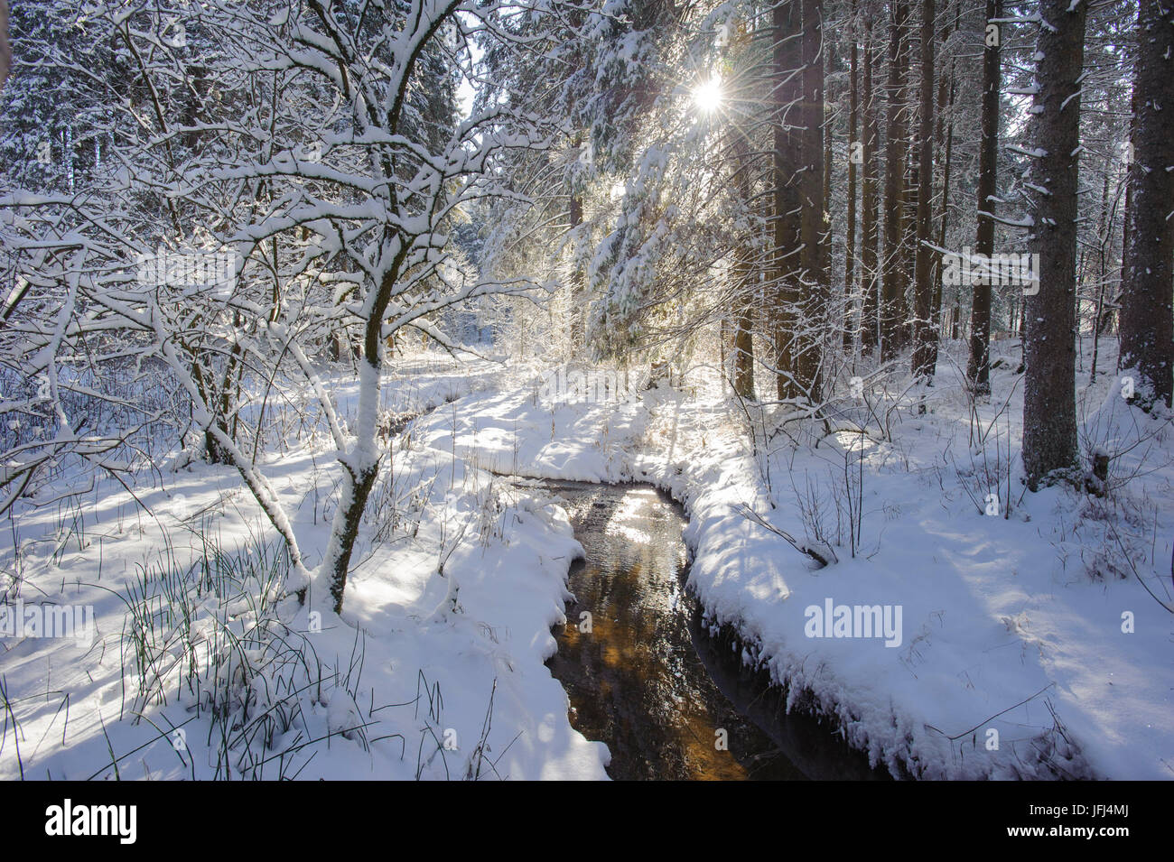 In der Ammer im Winter mit Schnee und Eis Stockfoto