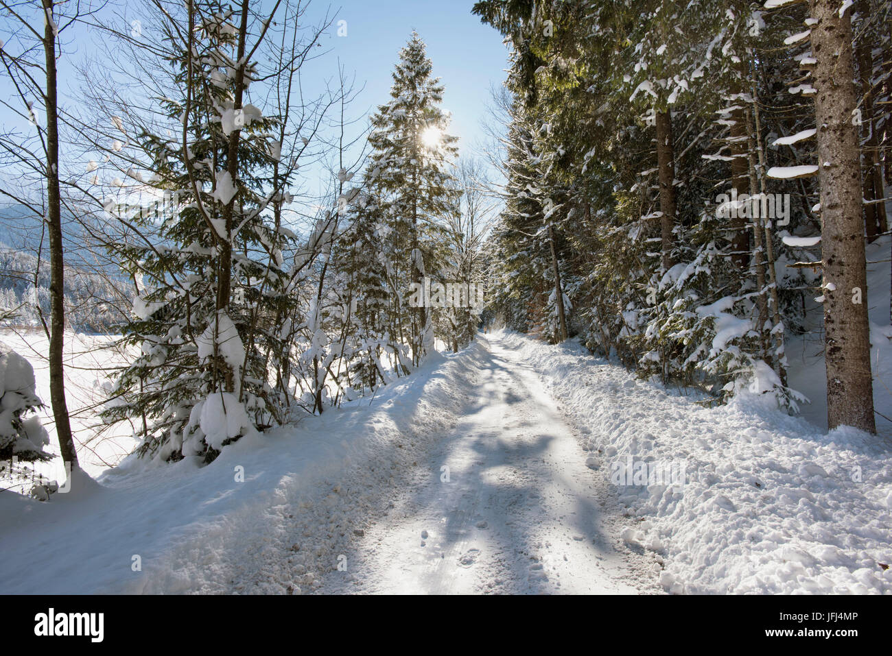 Winterlandschaft mit Weg und die Sonne im Gegenlicht Stockfoto