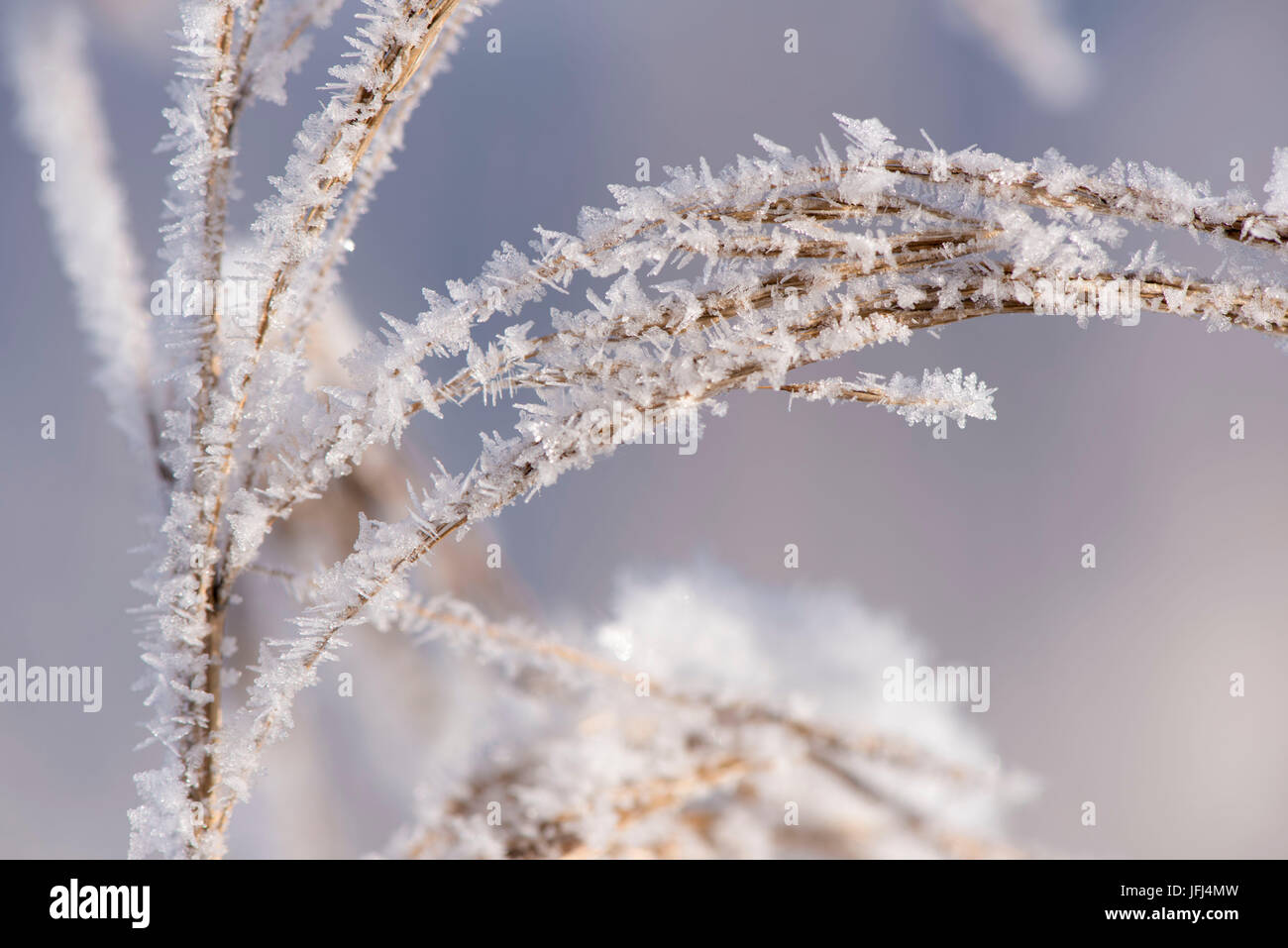 Winterlandschaft mit Werken in der Raureif Stockfoto