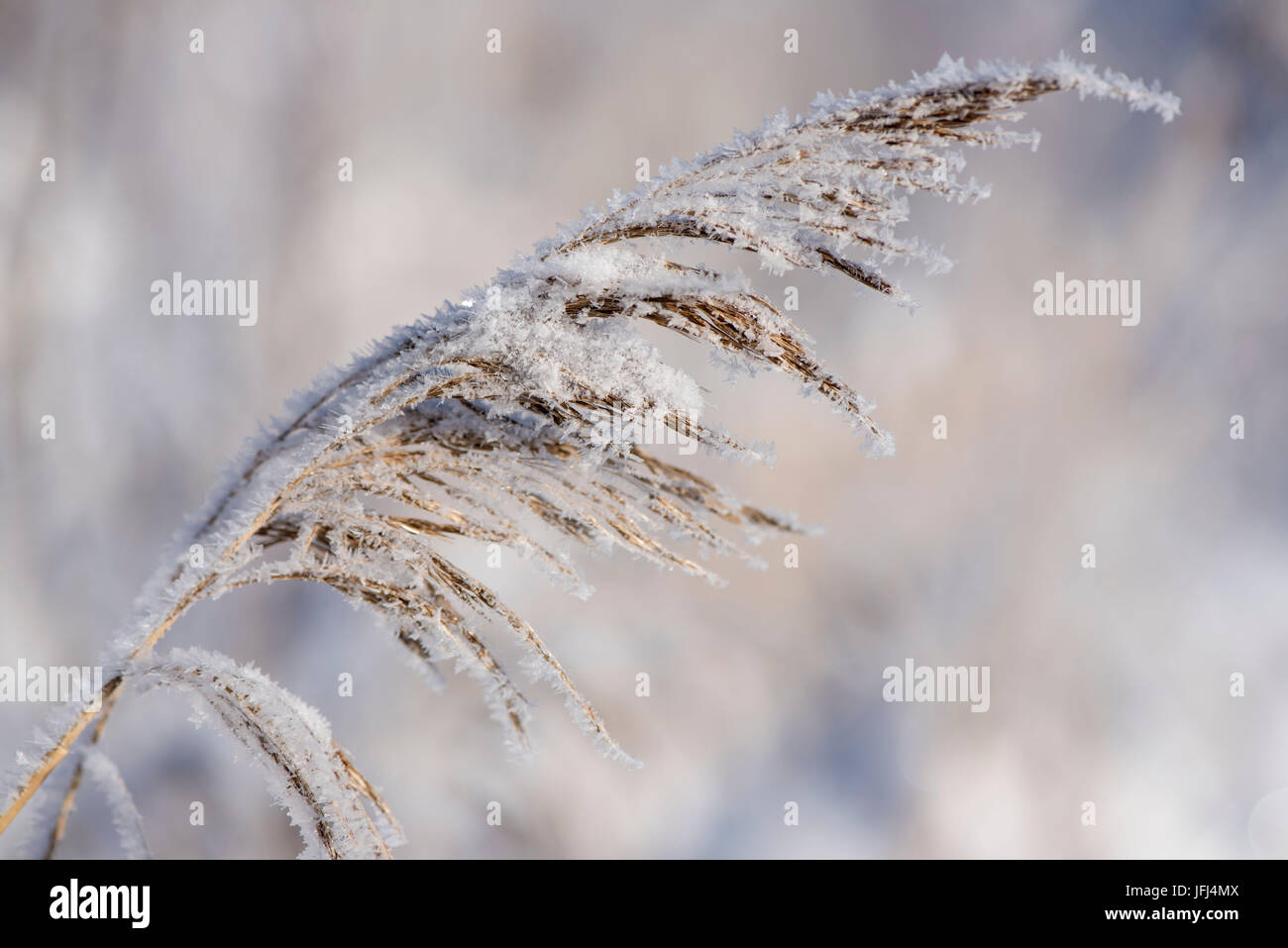 Winterlandschaft mit Werken in der Raureif Stockfoto