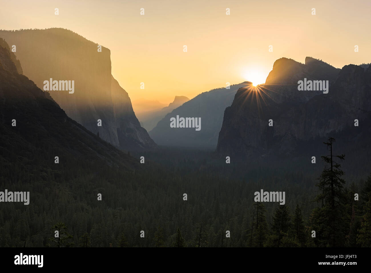 Goldenes Licht in den Yosemite National Park, USA, Kalifornien Stockfoto