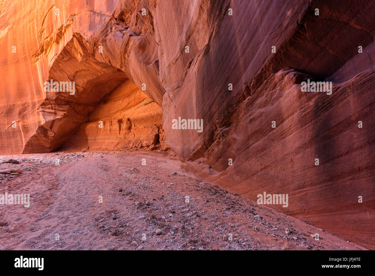 Hellen Felsen-Kathedrale in der Buckskin Gulch, USA, Utah Stockfoto