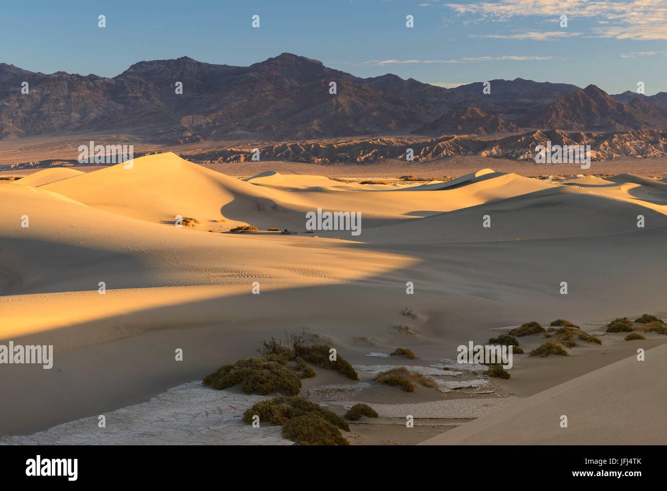 Mesquite flache Sanddünen, Death Valley, Kalifornien, USA Stockfoto