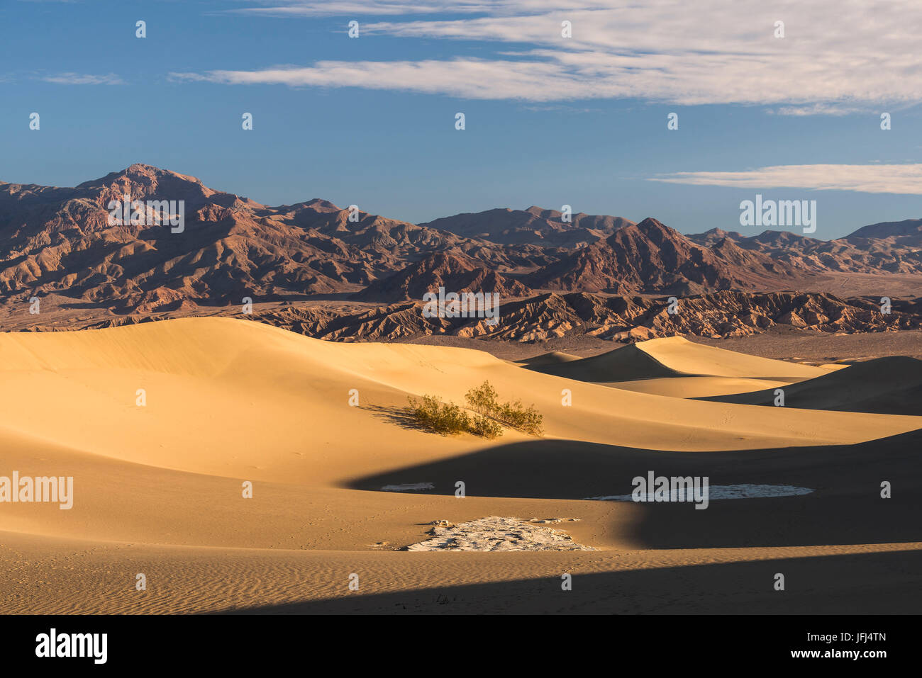 Mesquite flache Sanddünen, die USA, Kalifornien, Death Valley Stockfoto