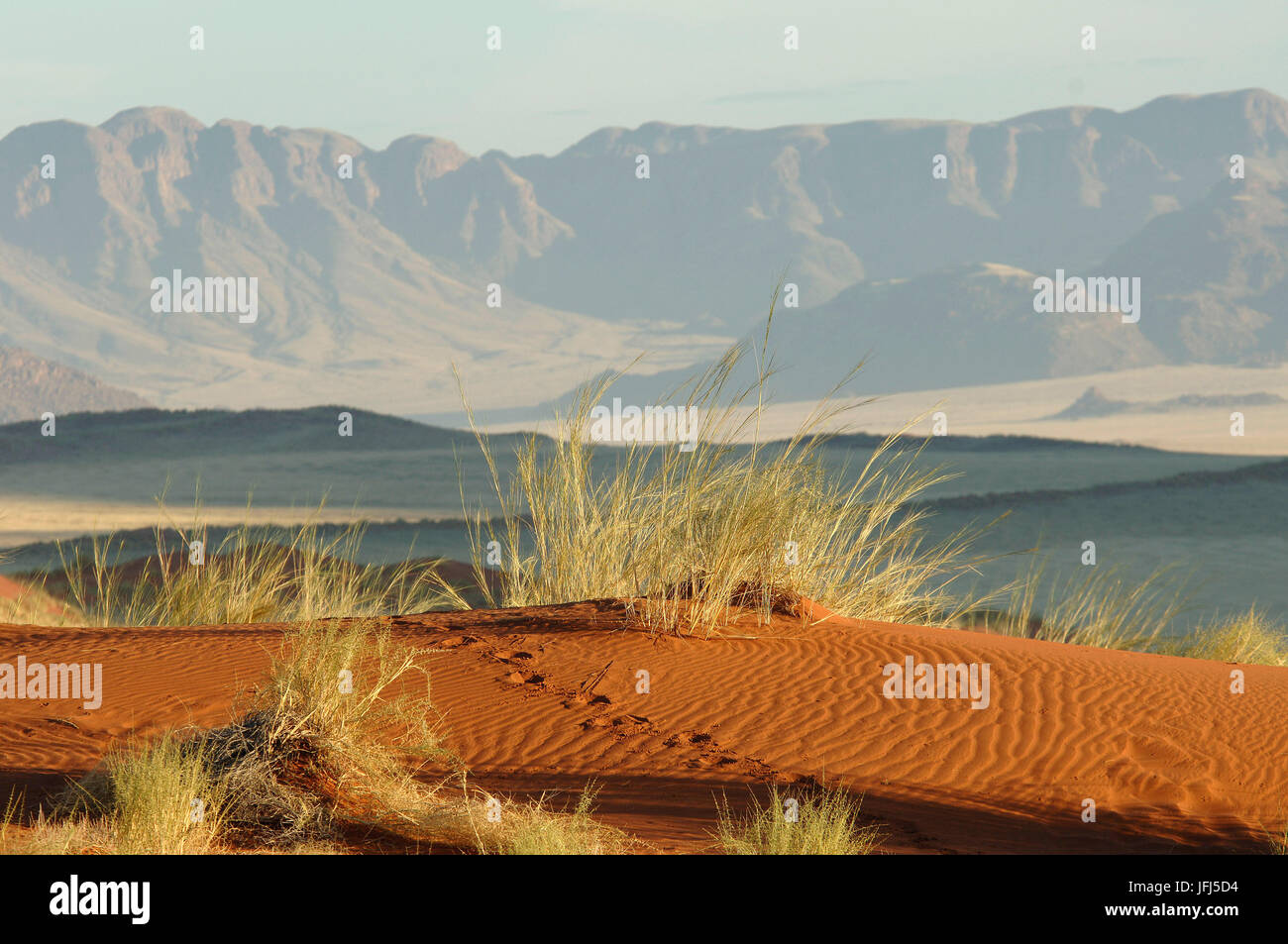 Afrika, Namibia, NamibRand Nature Reserve, Blick auf Wolwedans auf die Namib Stockfoto