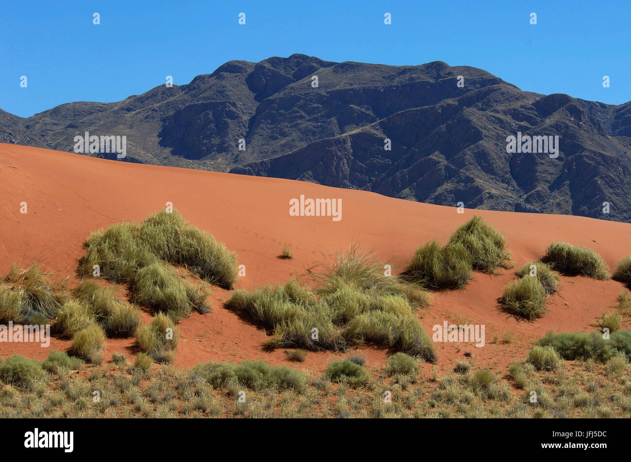 Afrika, Namibia, NamibRand Nature Reserve, Blick auf Wolwedans auf die Namib Stockfoto