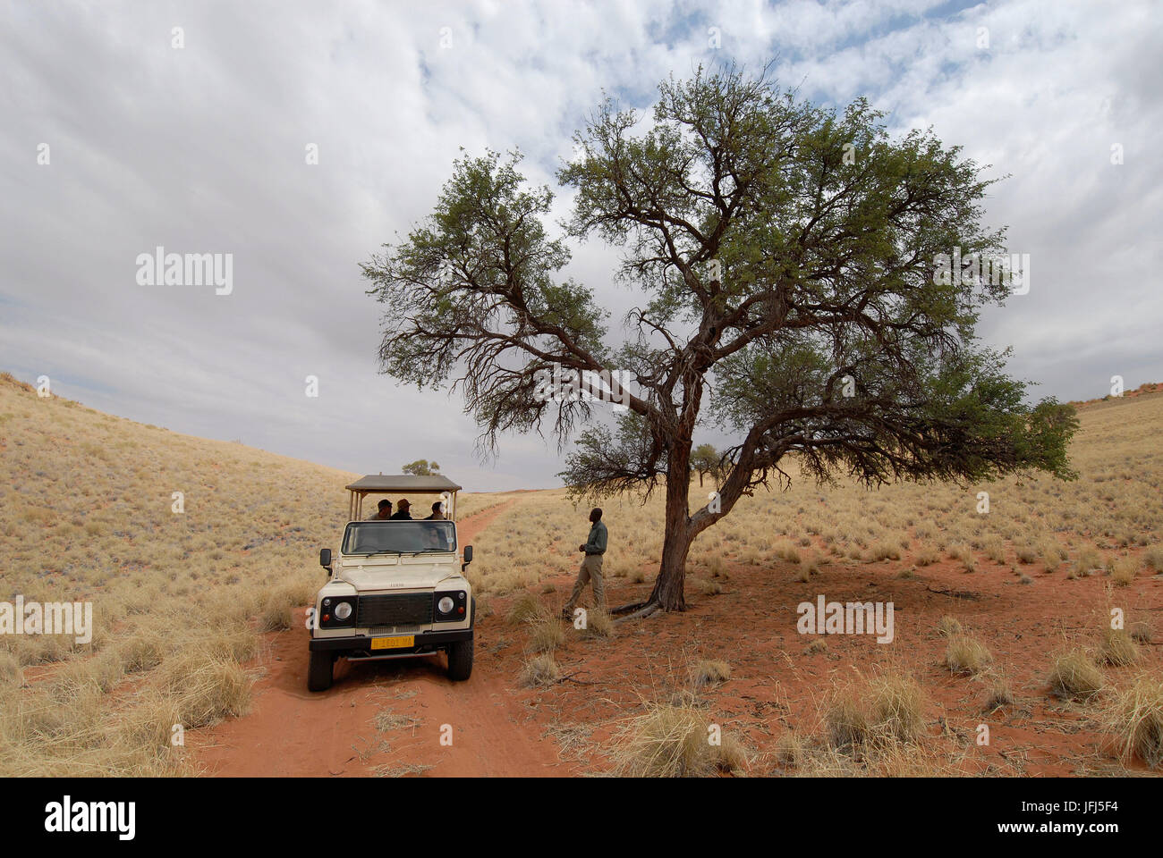Afrika, Namibia, NamibRand Nature Reserve, Wolwedane safari Stockfoto