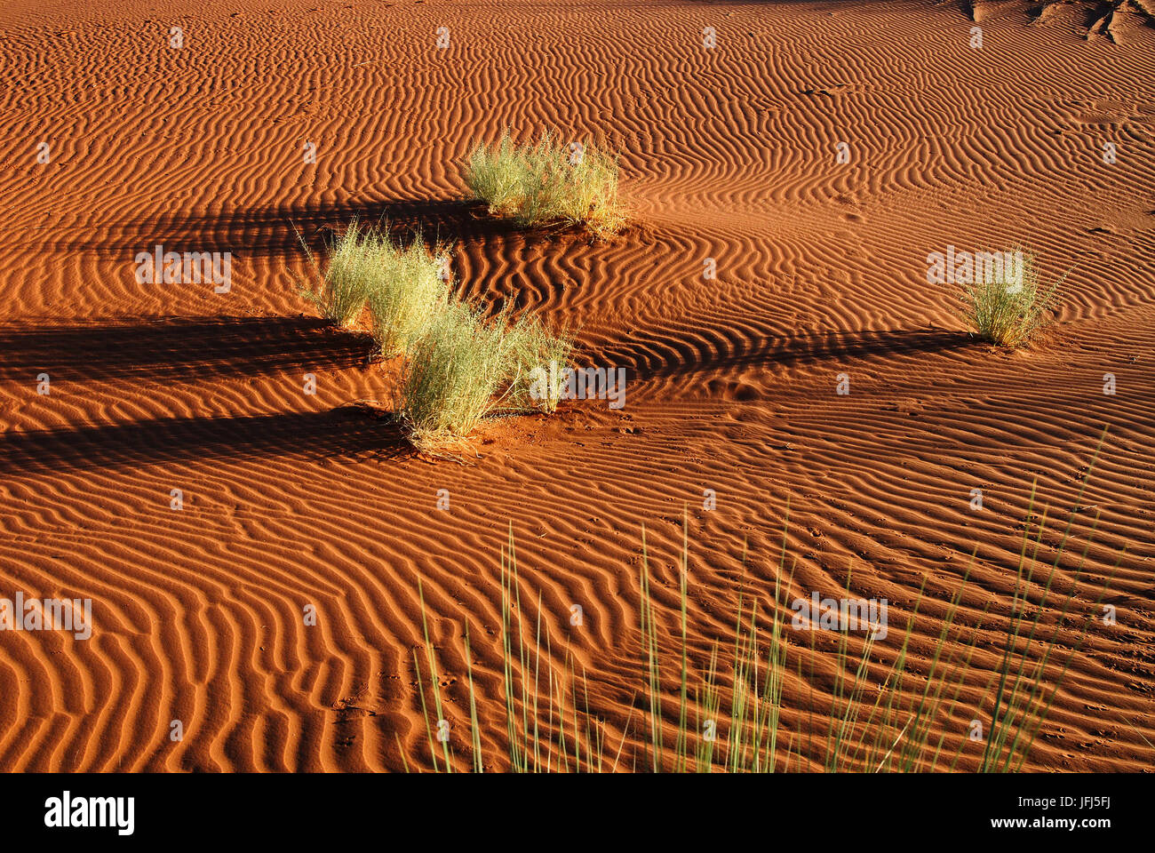 Afrika, Namibia, NamibRand Nature Reserve, Blick auf Wolwedans auf die Namib Stockfoto