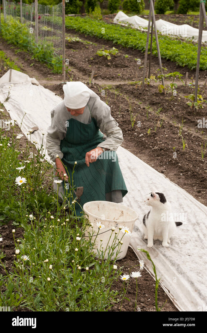 Schweiz, Kanton Graubünden, Müstair, Benediktiner-Abtei St. Johann im Münstertal, Schwestern, Garten, Schwester Benedikta im Klostergarten Stockfoto