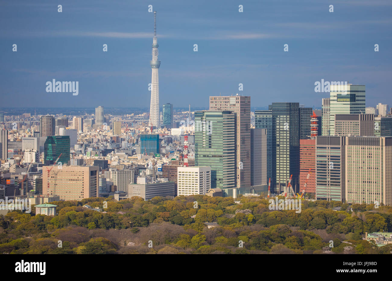 Japan, Tokyo City Kaiserlichen Palastgärten Ost, Otemachi Skyline und Skytree Turm Stockfoto