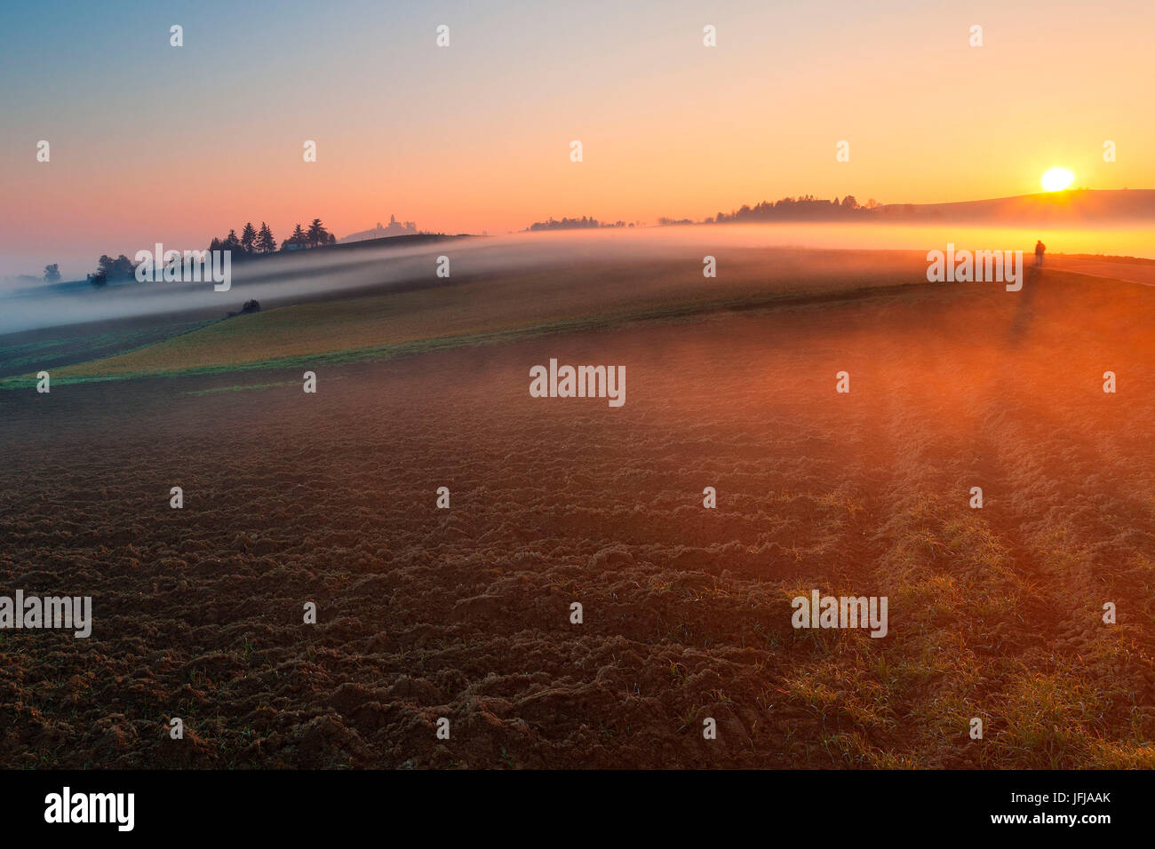 Alexandria Hügel, Piemont, Italien, A gepflügten Feld mit einem hübschen Nebel darüber, ein Mann zu Fuß auf dem Weg, Stockfoto