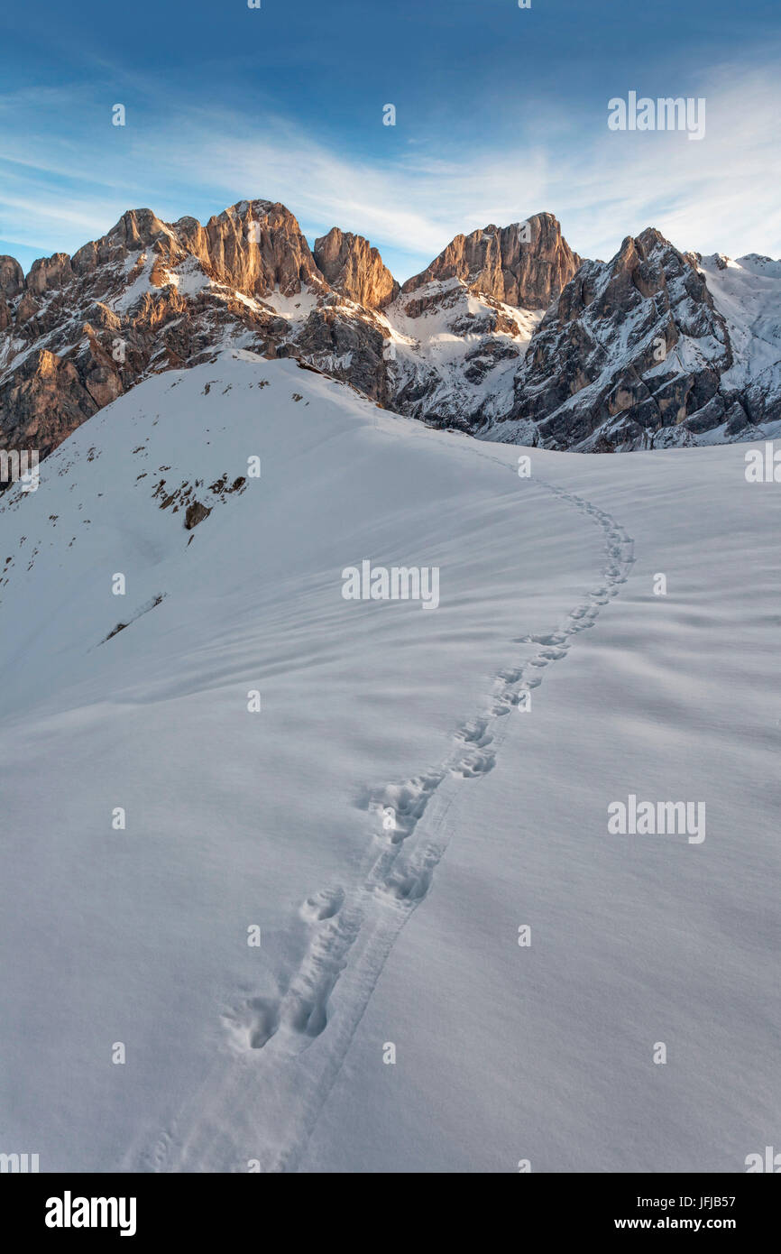 Huftiere Spuren vor der Marmolada, der Berg bekannt als die "Königin der Dolomiten, Passo di San Nicolo', Trentino, Dolomiten, Italien, Europa Stockfoto