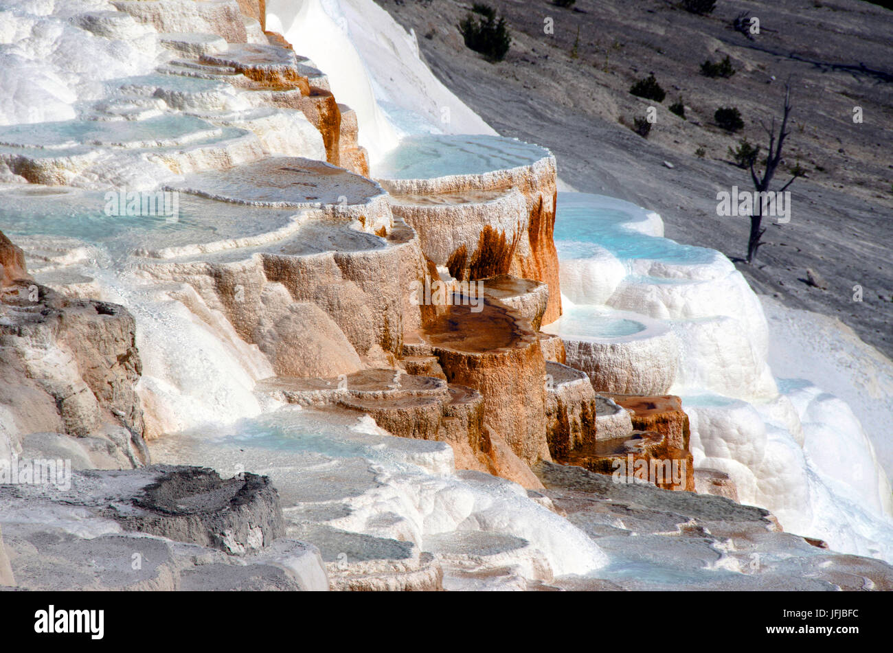 Mammoth Hot Springs Yellowstone-Nationalpark, Wyoming, USA Stockfoto