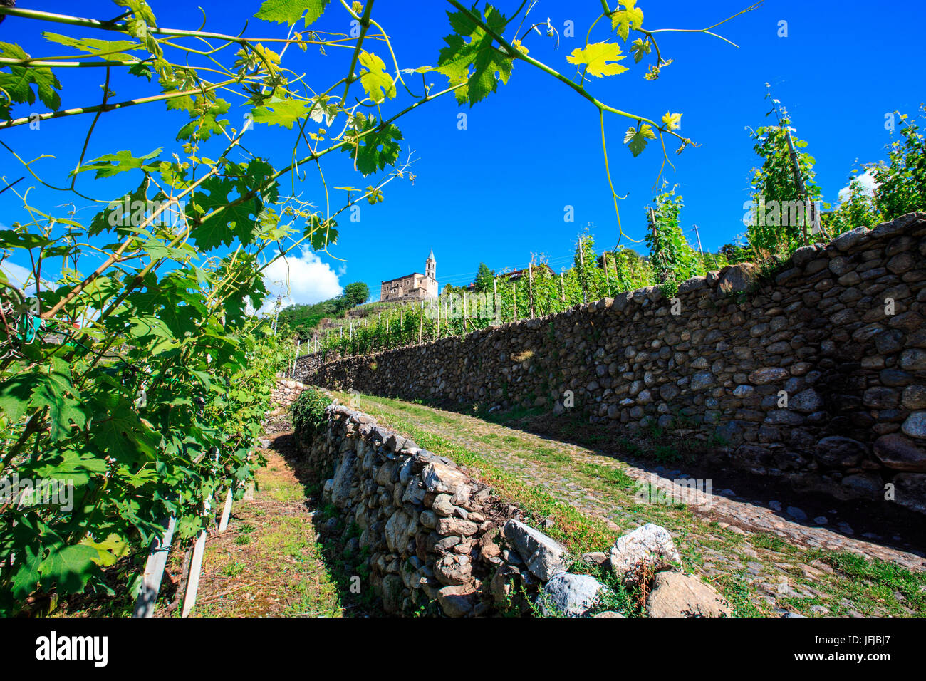 Der Pfad der Terrassen ist ein Wanderweg, der verbindet Tirano, Morbegno durch eine Reihe von Panorama Wege, Provinz Sondrio Valtellina, Lombardei, Italien, Europa Stockfoto