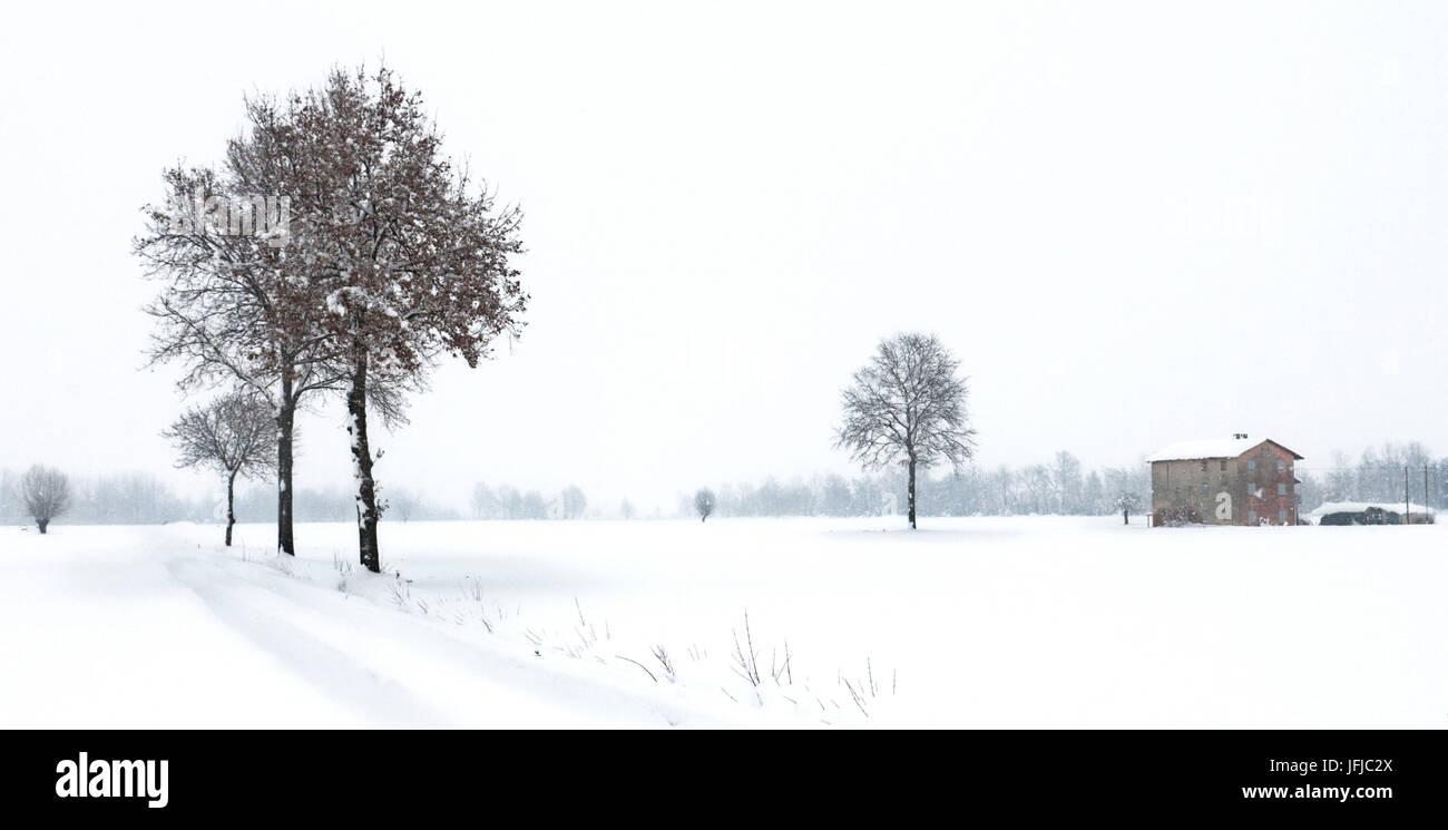 Italien, Piemont, Cuneo District, Schneefall in den Ebenen Stockfoto