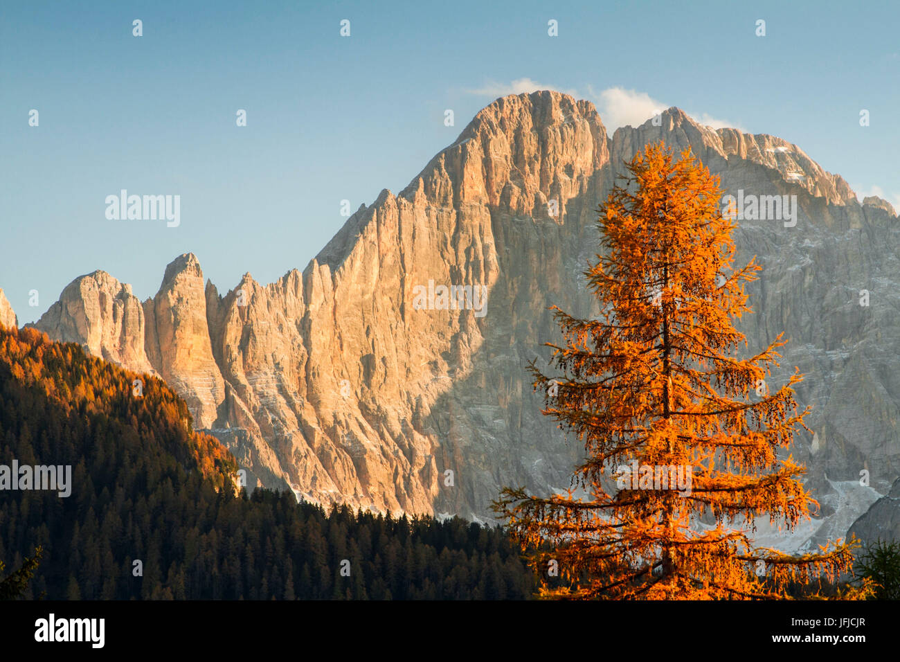 Europa, Italien, Veneto, Belluno, die Nordwand des Civetta (Dolomiten) im Herbst mit orange larix Stockfoto