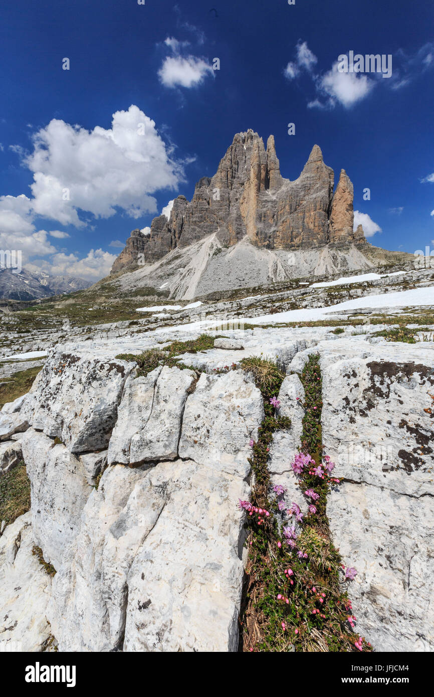 Blick auf die drei Zinnen von Lavaredo an einem Sommertag, Sextner Dolomiten Trentino Alto Adige Italien Europa Stockfoto
