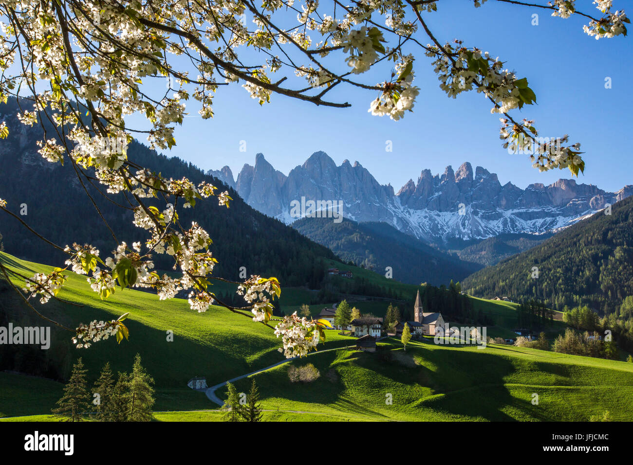 Blühende Rahmen das Dorf St. Magdalena und der Geisler-Gruppe, Villnösser Tal South Tyrol Dolomiten Italien Europa Stockfoto