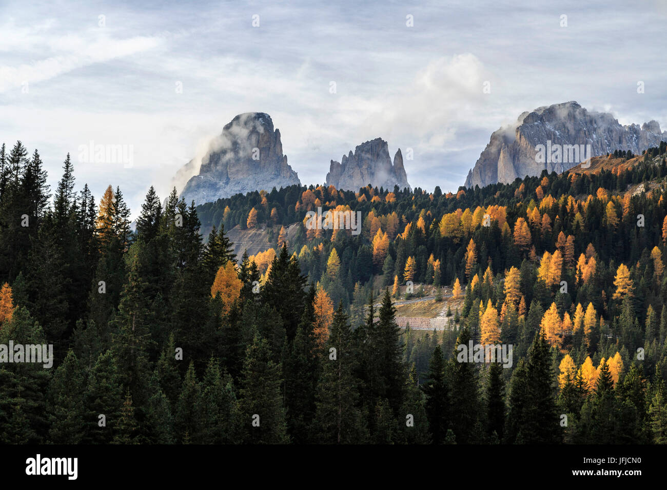 Bunte Wälder im Herbst rund um Sassopiatto und Langkofel, Dolomiten Trentino Alto Adige-Italien-Europa Stockfoto