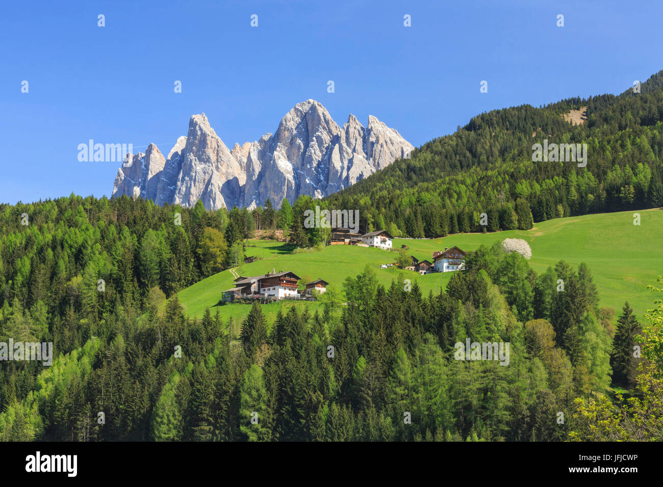 Die Geisler im Hintergrund verstärkt durch grüne Wälder Villnösser Tal, Süd-Tirol-Dolomiten-Italien-Europa Stockfoto