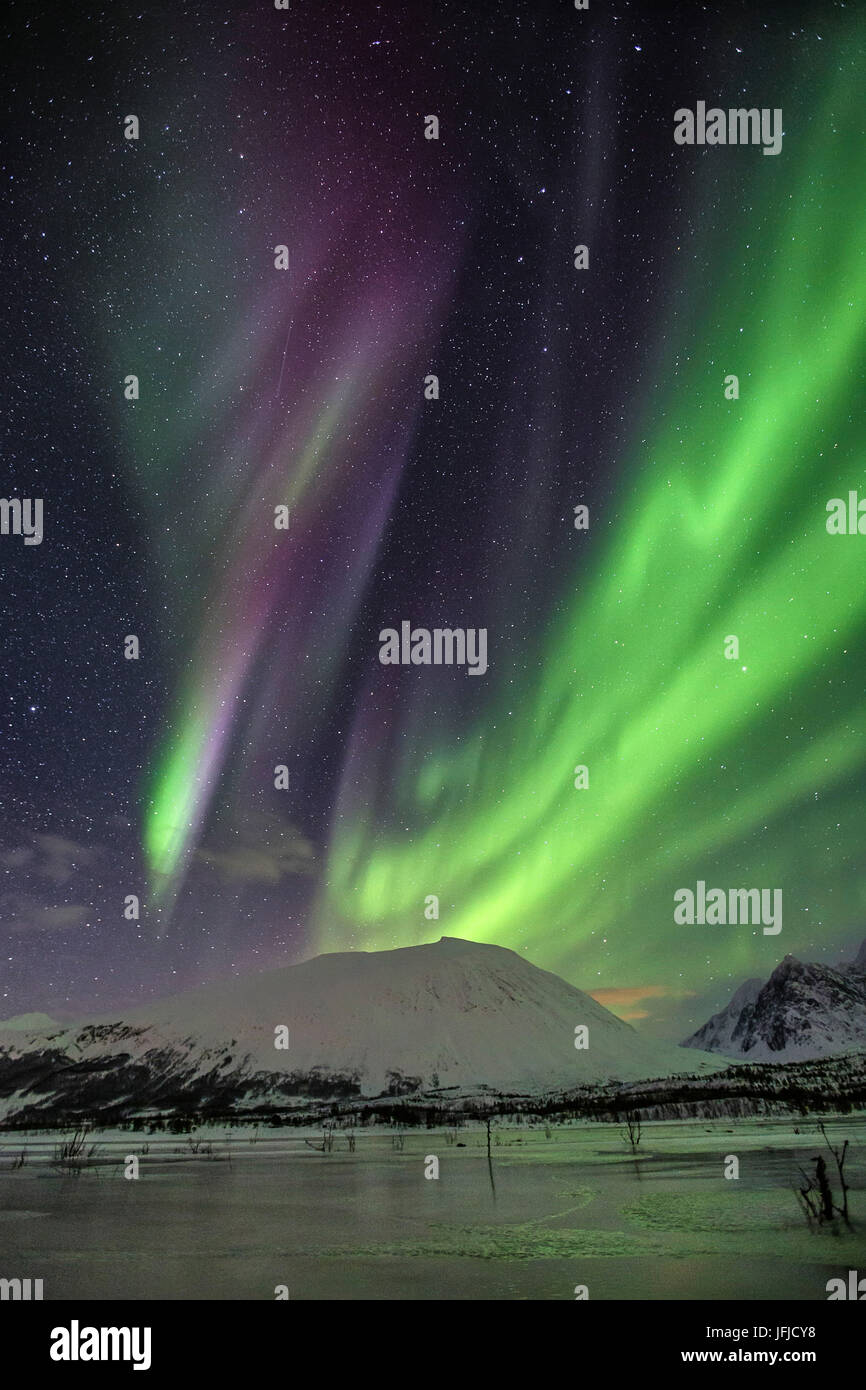Aurora Borealis auf die gefrorenen Lagune Jaegervatnet Stortind Lyngen Alpen Tromsø Lappland Norwegen Europas Stockfoto