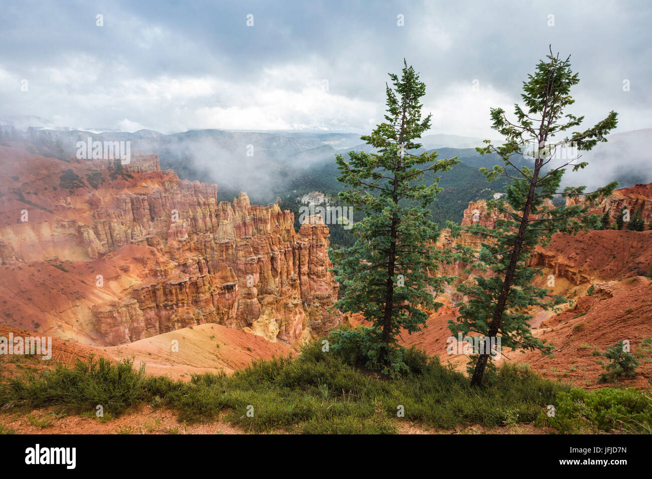 Schwarz-Birke-Canyon, Bryce-Canyon-Nationalpark, Garfield County, Utah, USA, Stockfoto