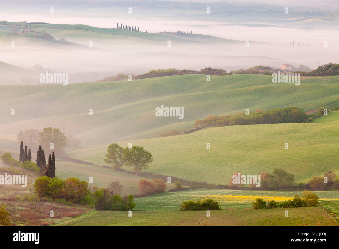 San Quirico, Orcia-Tals, Toskana, Italien, den sanften Hügeln bei Sonnenaufgang vom Belvedere aus gesehen Stockfoto