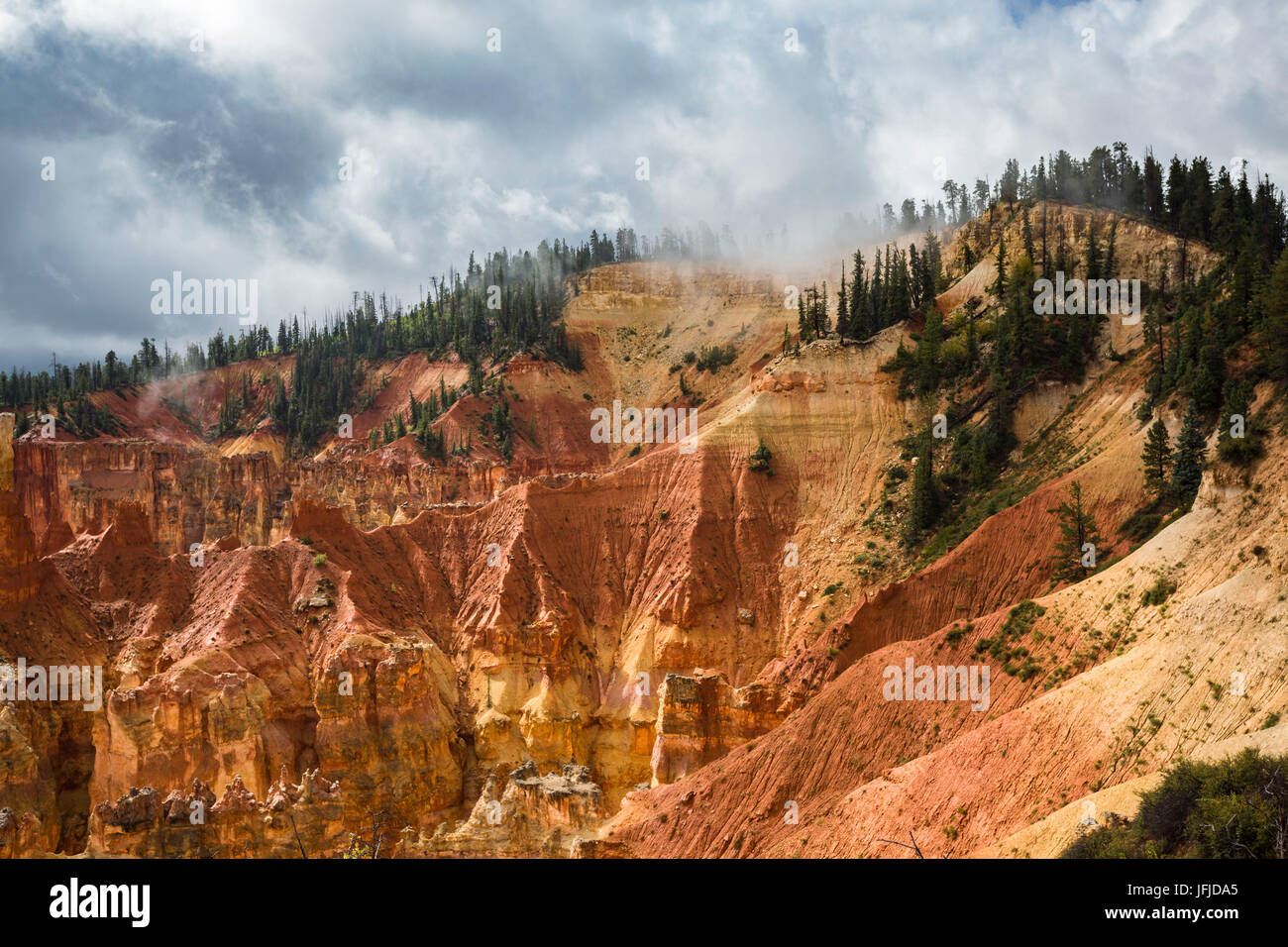 Schwarz-Birke-Canyon, Bryce-Canyon-Nationalpark, Garfield County, Utah, USA, Stockfoto