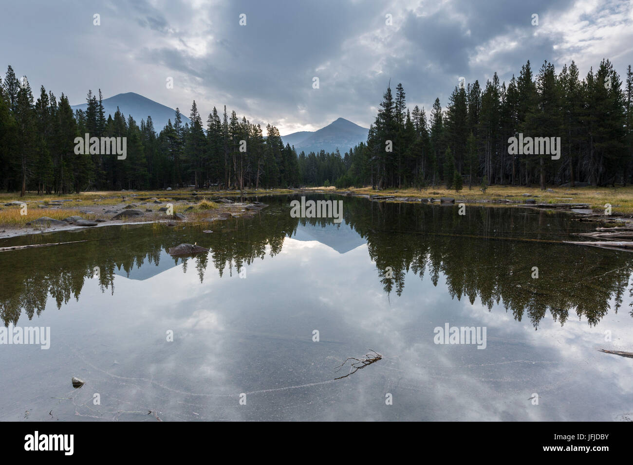 Pinien und Berge spiegelt sich in einem Teich, Yosemite-Nationalpark, Mariposa County, Kalifornien, USA, Stockfoto
