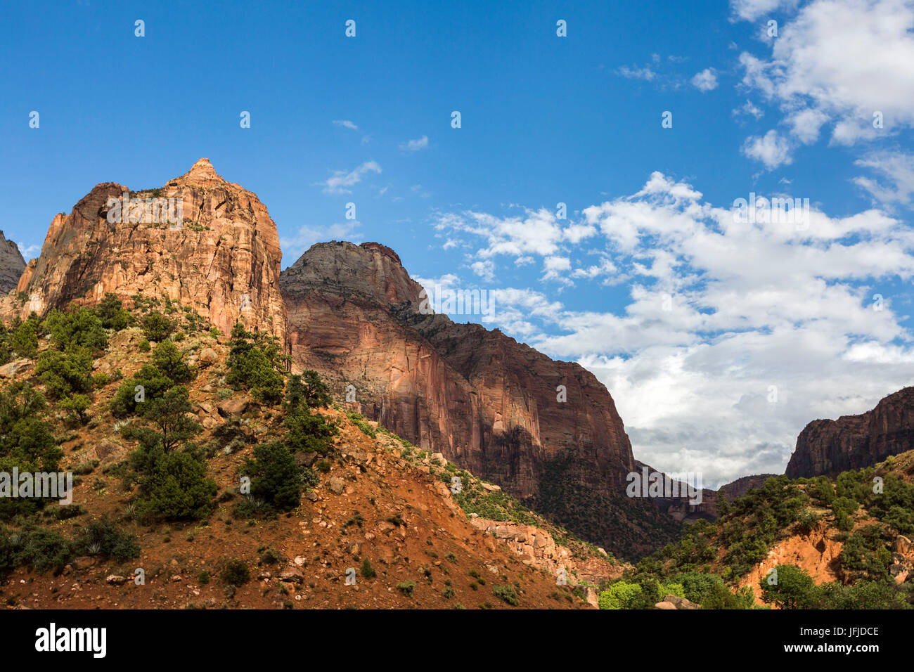 Felsformationen im Zion National Park, Hurricane, Washington County, Utah, USA Stockfoto