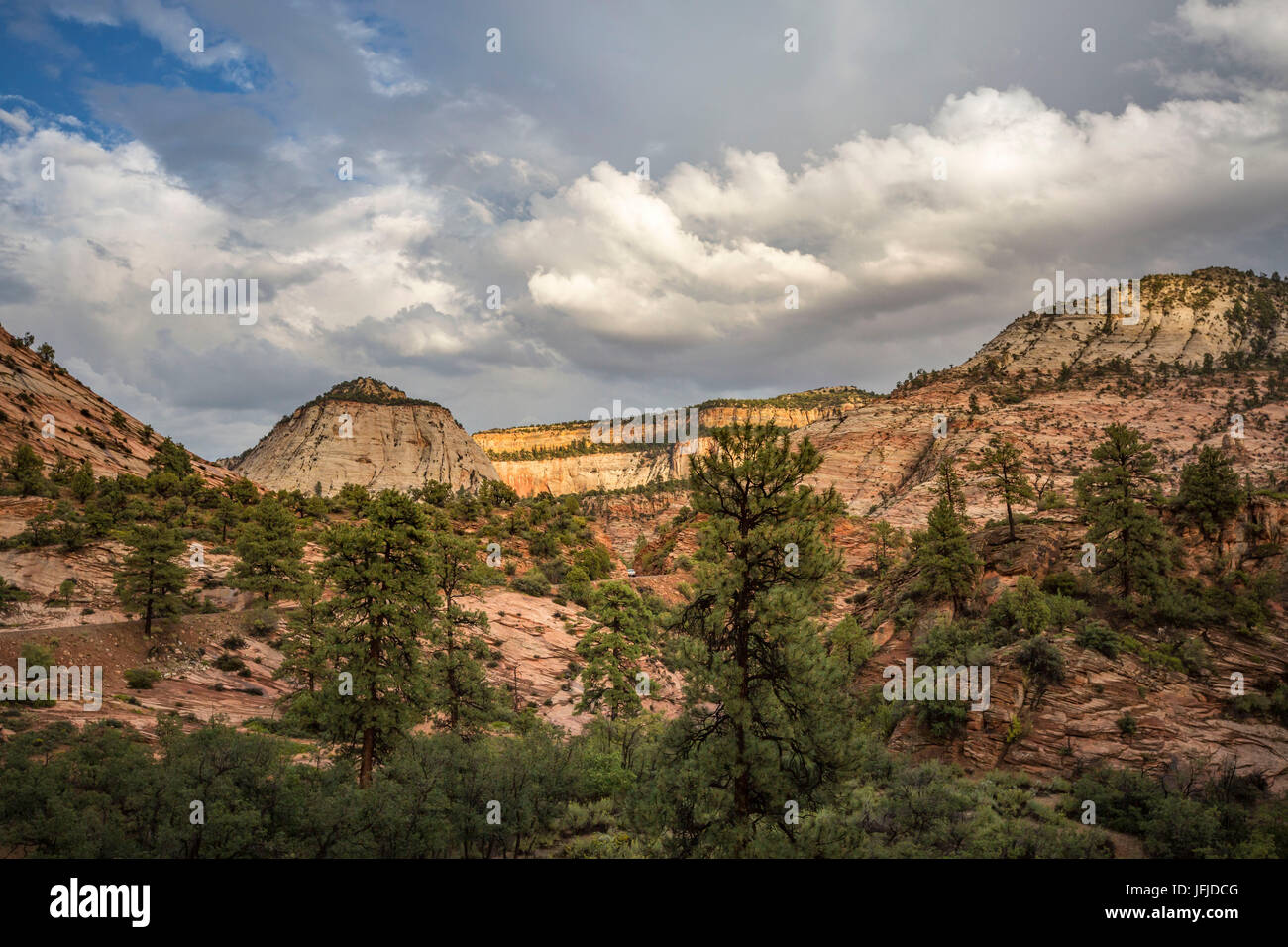 Landschaft aus Zion Canyon Scenic Drive, Zion Nationalpark, Hurricane, Washington County, Utah, USA, Stockfoto