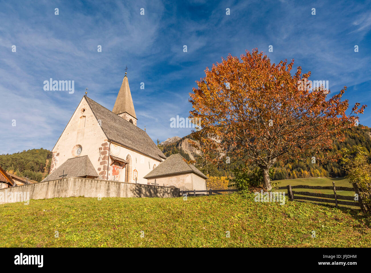 Herbstliche Kirschbaum und die Kirche des Dorfes Santa Maddalena, Funes, Bozen, Trentino Alto Adige - Südtirol, Italien, Europa Stockfoto