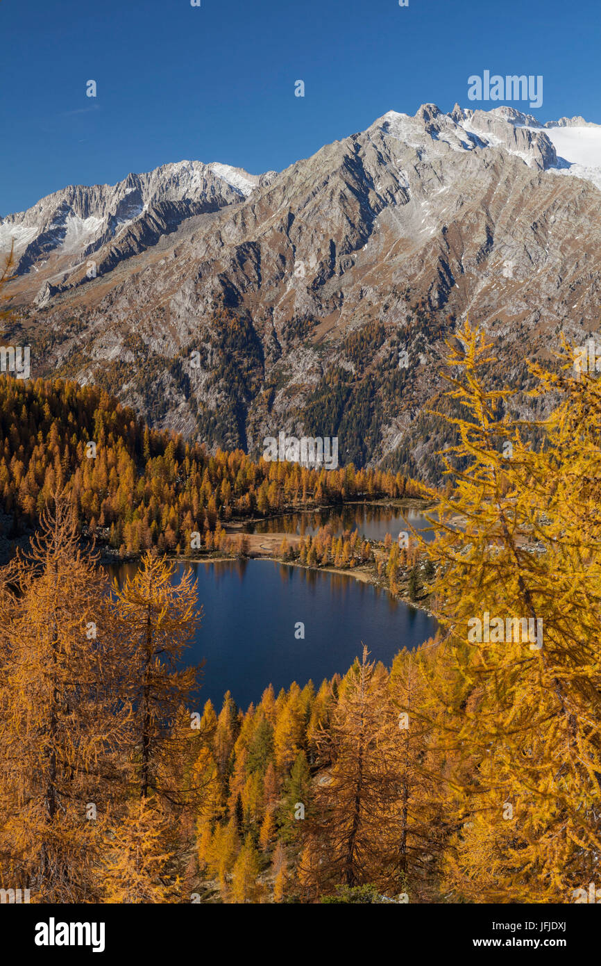 San Giuliano See, Naturpark Adamello-Brenta, Trentino Alto Adige, Italien, A San Giuliano See an einem herbstlichen Tag anzeigen Stockfoto