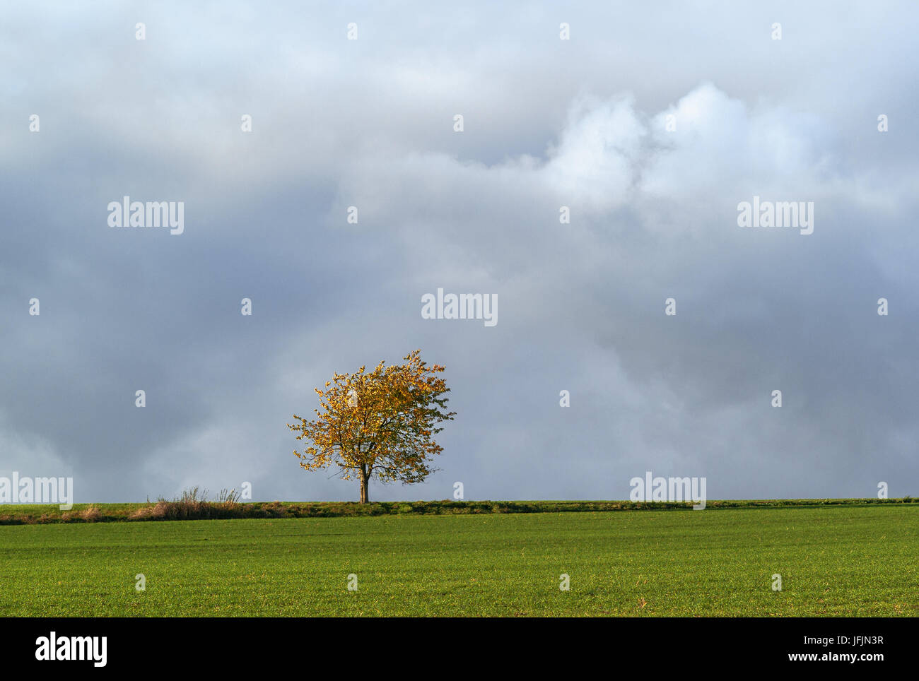 Herbstlandschaft in Oberfranken Stockfoto