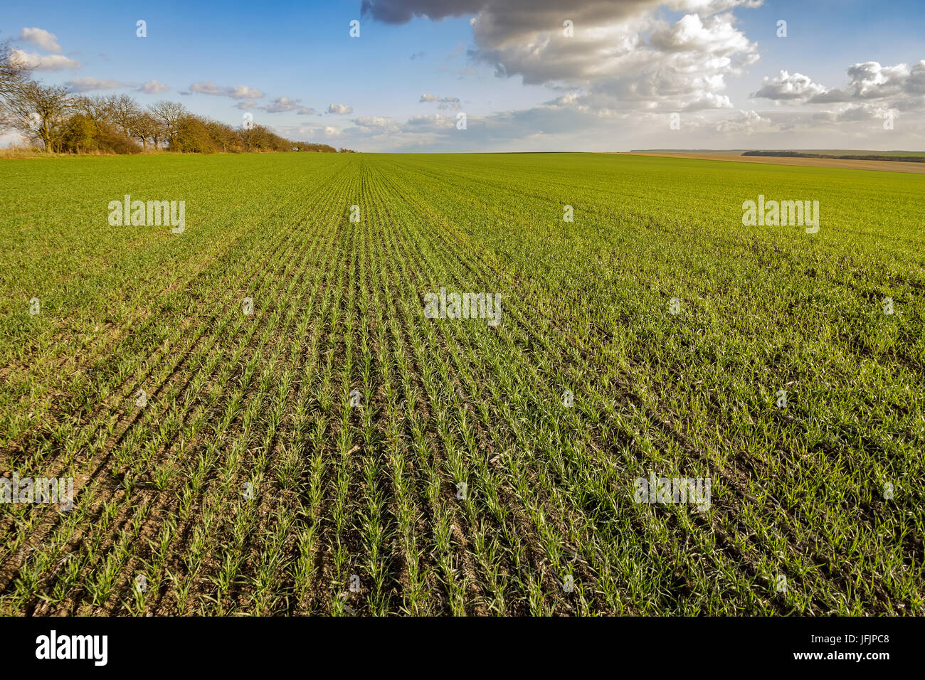 Spannende Landschaft Stockfoto