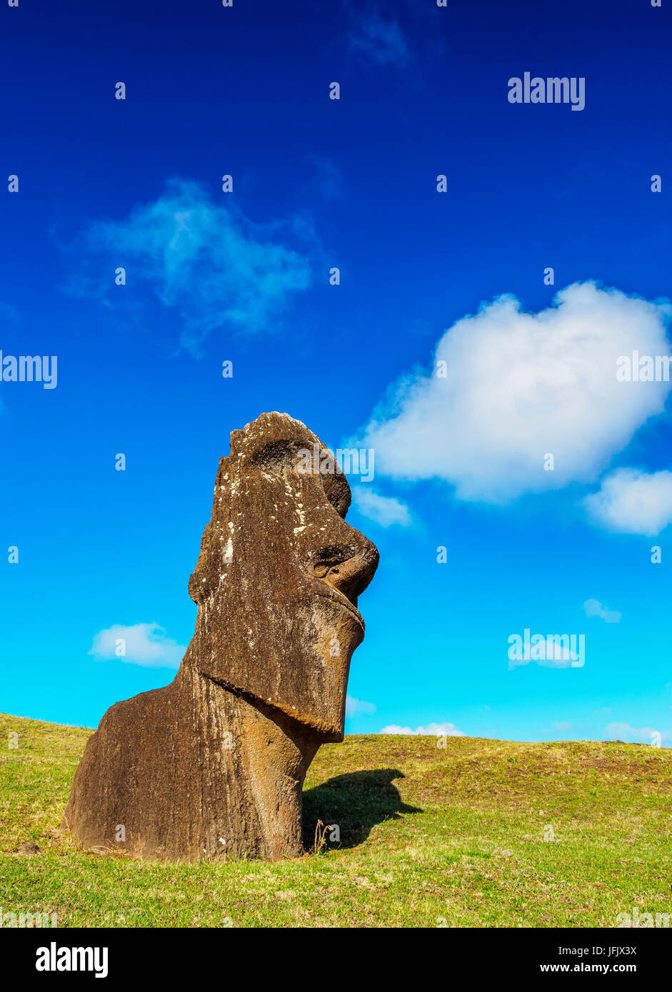 Moai am Steinbruch am Hang des Rano Raraku Vulkan Nationalpark Rapa Nui, Osterinsel, Chile Stockfoto