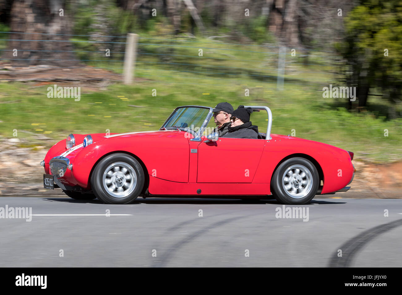 Jahrgang 1959 Austin Healey Sprite Bugeye Tourer fahren auf der Landstraße in der Nähe der Stadt Birdwood, South Australia. Stockfoto