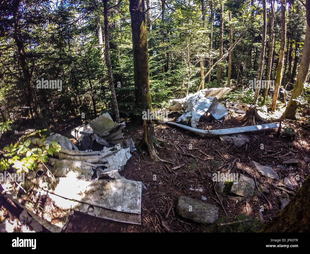 Alte Flugzeugabsturz langsam löst sich in den Wald Stockfoto