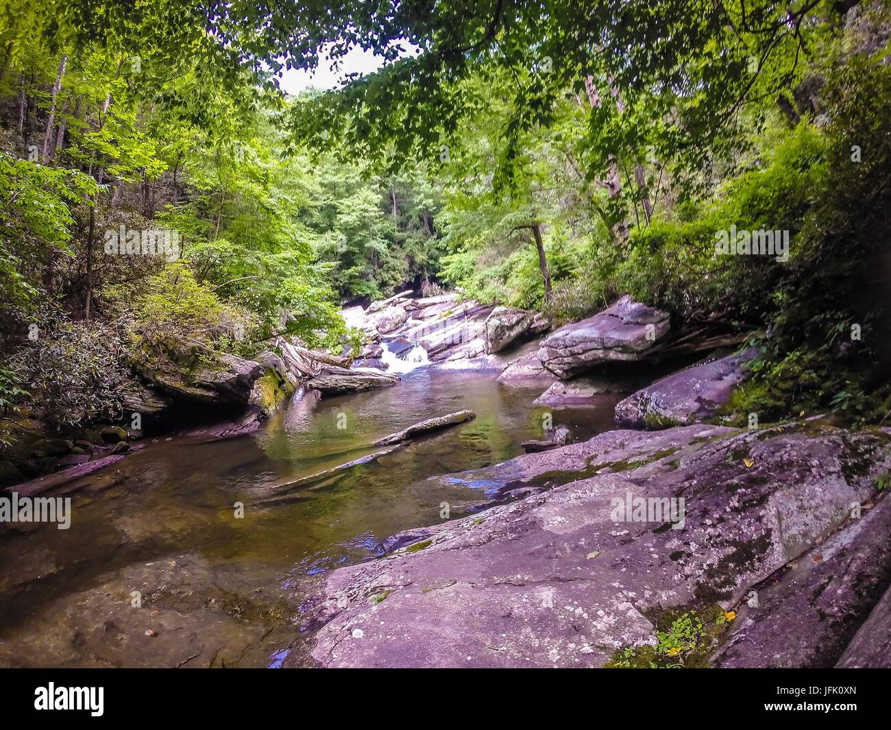 Malerische Ausblicke entlang wandern trailat Tabelle Rock Mountain South Carolina Stockfoto