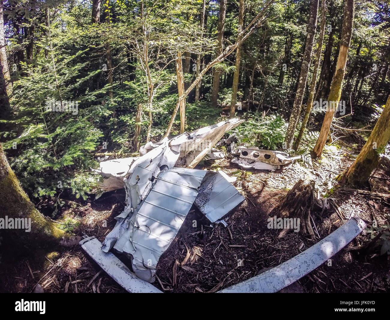 Alte Flugzeugabsturz langsam löst sich in den Wald Stockfoto